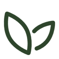 Produse din materiale ecologice